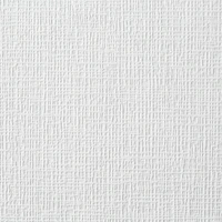 Обои под окраску Ateliero 2519 на флизелиновой основе 1,06*25м