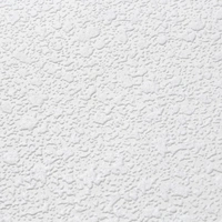Обои под покраску МИР арт. White Pro 07-012 Капли дождя 1,06*25м